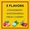Carmex Daily Care Moisturizing Lip Balm Sticks with SPF, Fresh Cherry, Strawberry and Wintergreen Lip Balm Pack, 0.15 OZ - (6 packs of 3)