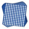 Gift Boutique 100 Dark Blue and White Gingham Cocktail Napkins Disposable Paper Navy Checkered Plaid Beverage Dessert Napkin for Summer Picnic Barbecue Wedding Baby & Bridal Shower Party Table Decor