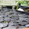 Natural Slate Stone -1/2 to 1 inch. Perfect Size for Miniature or Fairy Gardens, Aquariums, Reptiles, Terrariums, Model Railroads, Dioramas & Wargaming (1lb Grey)