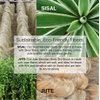 Ginger Chi Dry Brush for Skin, Dry Brushes for Body - Natural Bristle Brush for Dry Brushing Skin (Sisal Dry Brush)