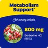 Enzymedica Berberine 800 mg – Vegan Capsules for Metabolic Support – from Sustainably Sourced Barberry – Non-GMO, Gluten-Free, No Fillers or Excipients – 60 Capsules