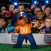Bleacher Creatures Tennessee Volunteers Smokey 10" Mascot Plush Figures - A Mascot for Play or Display