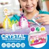 Fun Express 11 3/4" x 10 1/4" STEAM Crystal Princess Crystal Growing Kit - 3 Pc.