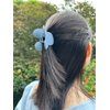 4 Pcs Hair Claw Clips Small Mouse Ear Hair Clips Matte 2.5'' Non-Slip Jaw Clips for Thin and Medium Hair Hair Accessories for Women Girls