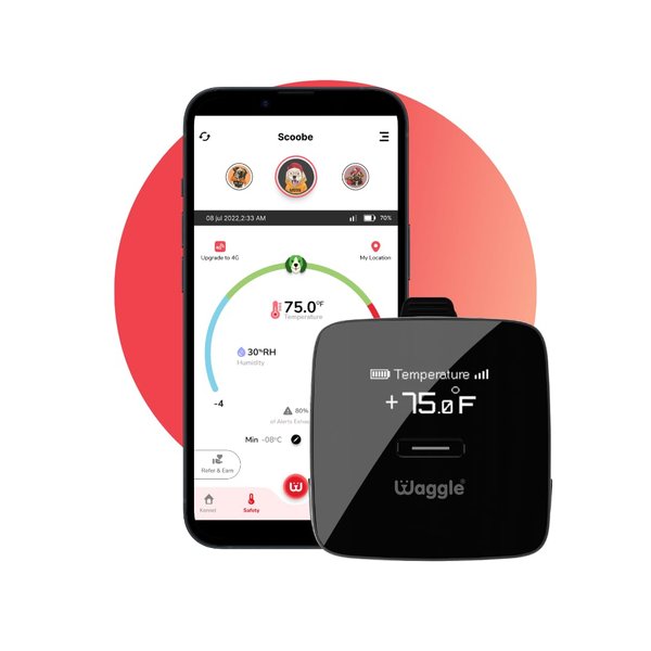 Waggle RV/Dog Safety Temperature & Humidity Sensor | Wireless Pet monitoring system Verizon Cellular Instant Alerts on Temp/Humidity/Power loss via SMS/Email 24/7 No WiFi Subscription Required