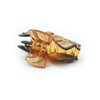 Meilliwish Noble Beautiful Lady Hair Claw Clip 1 PCS(D91)(BowBrown)