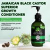 Jamaican Black Castor Oil Shampoo and Conditioner Set, Strengthen & Restore, Growth Jamaican Black Castor Shampoo 10.56 fl.oz & Conditioner 10.56 fl.oz Gift Set 2-PC Boxed Set Hair Care Collection