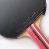 Palio Master 3.0 Table Tennis Racket & Case - ITTF Approved Intermediate Ping Pong Bat