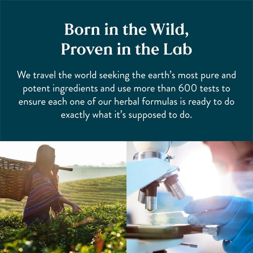 Nature's Sunshine Mood Elevator Chinese TCM Concentrate 30 Capsules