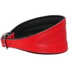 Dogs My Love Real Leather Extra Wide Padded Tapered Dog Collar (13.25"-15.25" Neck; 2.5" Wide, Red)