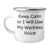 Funny Waitress Quotes Camping Mug, Gifts from Women to Friends for Father's Day, Keep Calm Or I Will Use My Waitress Voice