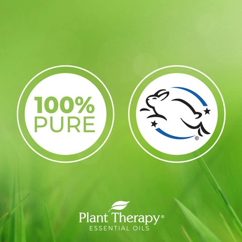 Plant Therapy Honeybell Essential Oil Blend 10 mL (1/3 oz) 100% Pure, Undiluted, Therapeutic Grade