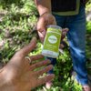 HUMBLE BRANDS Original Formula Aluminum-free Deodorant. Long Lasting Odor Control with Baking Soda and Essential Oils, Bergamot and Ginger, Pack of 3