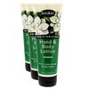 ShiKai Gardenia Hand & Body Lotion (8oz, Pack of 3) | Daily Moisturizing Skincare for Dry and Cracked Hands | With Aloe Vera & Vitamin E