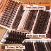 Eefofnn Brown Lash Clusters 360 pcs Eyelash Extension Natural Individual Lashes Brown Wispy+50P+60P+80P+Bottom Lashes Clusters DIY Lash Extension 5 Styles Cluster Lashes D Curl Lash Extension
