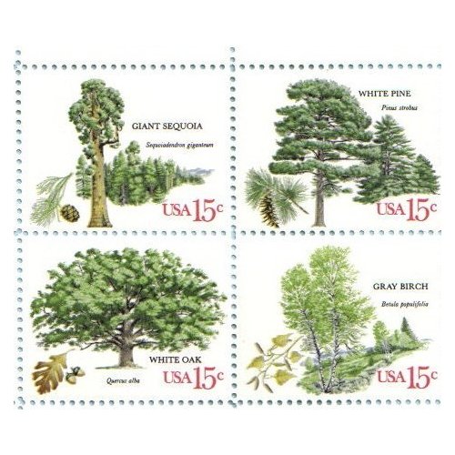 1978 AMERICAN TREES #1764-67 Block of 4 x 15 cents US Postage Stamps