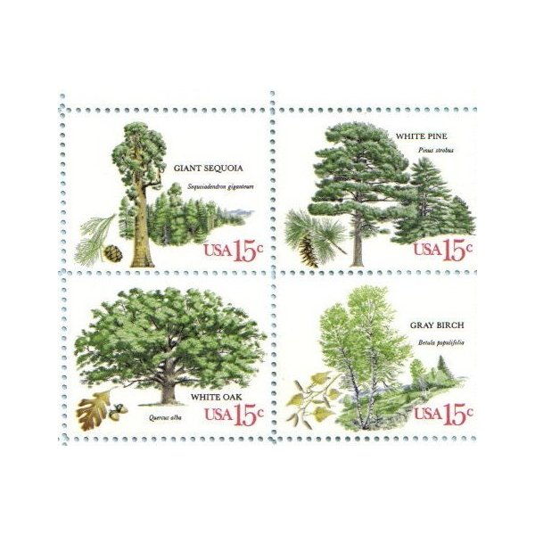 1978 AMERICAN TREES #1764-67 Block of 4 x 15 cents US Postage Stamps