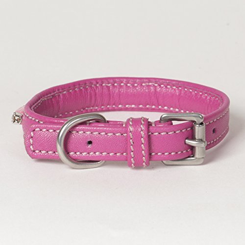 XX-Small Beaded Rhinestone Soft Napa Leather Padded Utopia Dog Collar, Fits Neck Size 8" - 10"