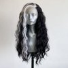 RONGDUOYI Black Curly Wig with Highlights Synthetic Lace Front Wigs for Women Natural Hairline Black Mix White Long Wave Wig Daily Use Synthetic Hair Wig Cosplay
