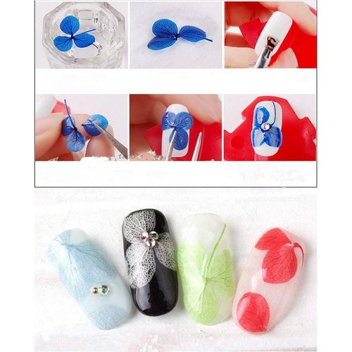 XICHEN 50 PCS/7 Color Box Hydrangea Petals of Dry Flowers Nail Art Stickers Natural Nail Supplies Curved Tweezers with Professional