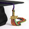 Endea Graduation Double Color Tassel with Gold Date Drop (Rainbow, 2023)