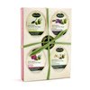 Kalliston, Olive Oil Soap Gift Set, Lavender, Rose, Jasmine, & Natural Aromas, All Natural Soaps, Made in Ancient Crete, Greece, Pack of 4