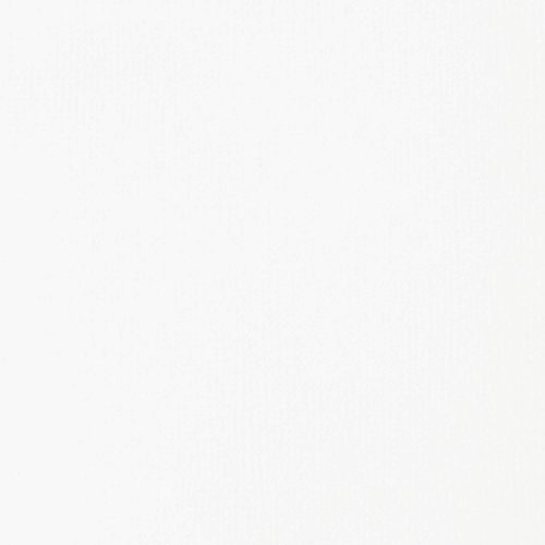 Liquitex BASICS Acrylic Paint, 250ml Tube, Titanium White, 8.45 Fl Oz (Pack of 1)