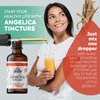 Angelica Tincture, Organic Angelica Extract (Angelica archangelica) Dried Root Herbal Supplement, Non-GMO in Cold-Pressed Organic Vegetable Glycerin, 700 mg, 2 oz (60 ml)