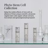 G.M. COLLIN Phyto Stem Cell Cream | Anti-Aging Face Moisturizer | Firming Skin Care with Niacinamide | Restorative Anti-Wrinkle Treatment