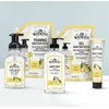J.R. Watkins Liquid Foaming Hand Soap Lemon Refill, Pack of 1