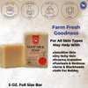 Honey Sweetie Acres All-Natural Jewelweed Goat Milk Soap – 5 oz Handcrafted Bar for Effective Poison Ivy Relief – Eco-Friendly, Made in USA