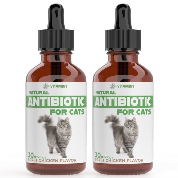 Natural Antibiotics for Cats | Cat Supplements | Cat Antibiotic | Cat Antibiotics | Cat Immune Support | Antibiotic for Cats | Cat Multivitamin | Multivitamin for Cats | 2 Pack: 60 Servings Total