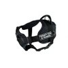 Dean & Tyler DT Fun "Therapy Dog in Training" Dog Harness with Padded Chest Piece, Fits Girth Size 22-Inch to 27-Inch, Small, Black with Reflective Trim