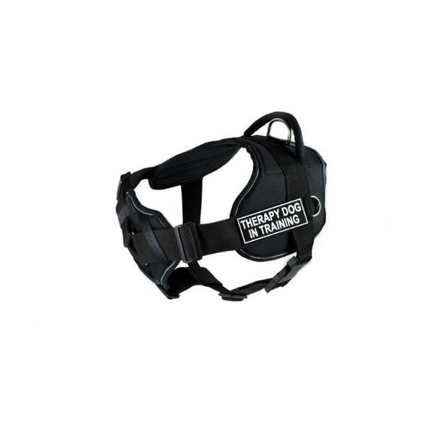 Dean & Tyler DT Fun "Therapy Dog in Training" Dog Harness with Padded Chest Piece, Fits Girth Size 22-Inch to 27-Inch, Small, Black with Reflective Trim