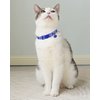 SOLMOONY Cute Cat Collar for Girl Boy,Colorful Breakaway Cat Collars with Bell 2 Pack，Adjustable Printed Nylon with Safety Buckles Kitten Collar (Starry Sky)