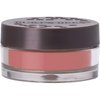 Burts Bees Strawberry Cream Color Nurture Cream Blush, 7.08 GR