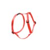 LupinePet Basics 3/4" Red 20-32" Adjustable Roman Dog Harness for Medium Dogs