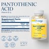 SOLARAY Pantothenic Acid 500mg - Vitamin B 5 - B Vitamin for Coenzyme-A Production, Energy Metabolism, Digestive Health, Hair Health, Skin and Nails Support - Vegan, 60-Day Guarantee - 250 VegCaps