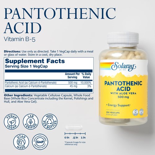 SOLARAY Pantothenic Acid 500mg - Vitamin B 5 - B Vitamin for Coenzyme-A Production, Energy Metabolism, Digestive Health, Hair Health, Skin and Nails Support - Vegan, 60-Day Guarantee - 250 VegCaps