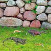 Atralo Service Wildlife Reptile Lizard Animal Model Toy Playsets 4 PCS Lizards Figure Party Favors Toys Cake Toppers Christmas Birthday Gift for Boys Girls Kids Toddlers