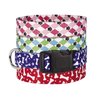 Casual Canine Nylon Pooch Patterns Dog Collar, Fits Necks 6" to 10", Pink Argyle
