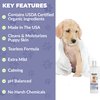 We Love Doodles Puppy Shampoo & Conditioner | Made in USA | Organic Ingredients | Tear Free | Best Shampoo for Puppies | Sensitive & Itchy Skin Wash | Oatmeal Bathing | Veterinary Formula | Tearless