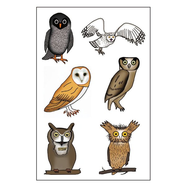 Premium Owl Temporary Tattoos, Party Favors