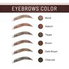 PRIMROSE BROW DEFINER, Eye Brow Powder, Natural Look, Paraben Free, Gluten Free, Vegan, Made in the USA. 0.11 oz.(Charcoal)