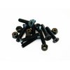 VJ Longboard Skateboard Riser Pads 6mm (1/4 ") Black w/Skateboard Screws Hardware BK 1.25 "(6mm Riser w 1.25inch Screws)