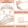 BAHABY Rose Gold 21st Birthday Sash and Crown 21st Birthday Decorations for Her It's My 21 Birthday Tiara Birthday Party Favors