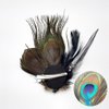 Comidox Cute Peacock Feather Hair Clip with Rhinestones,Charming Peacock Headpiece Feather Hair Accessories for Weddings,Dance Parties,Halloween Party,Beautiful Peacock Accessories for Women(Set of 2)