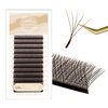 NATUHANA W Shaped Clover Eyelash Extension 5D Premade Fans 0.07mm L Curl 8-14 Mixed Tray Volume Lash Cluster W Lashes Supplies Lash Extensions (5D brown;0.07 L, 8-14 MIX)