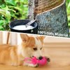 Petper CW-0087 Dog Squeaky Toy, Durable TPR Dog Toy with Massage Particles, Pink