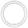 T5 22W Circular Bulb Replacement for Zadro 7-in Surround Light by Technical Precision Replacement Bulb for Lighted Mirror / Makeup Mirror - G10Q-4 4-Pin Base - 6500K Cool Daylight - 12000 Hours